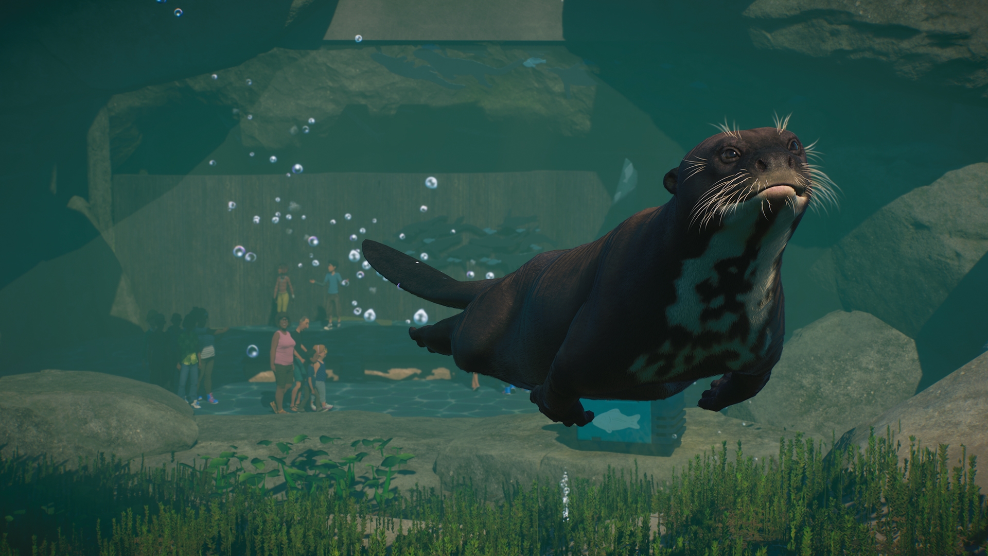 PZ_Aquatic_Paid_Screenshots_Otter_01_1920x1080.jpg
