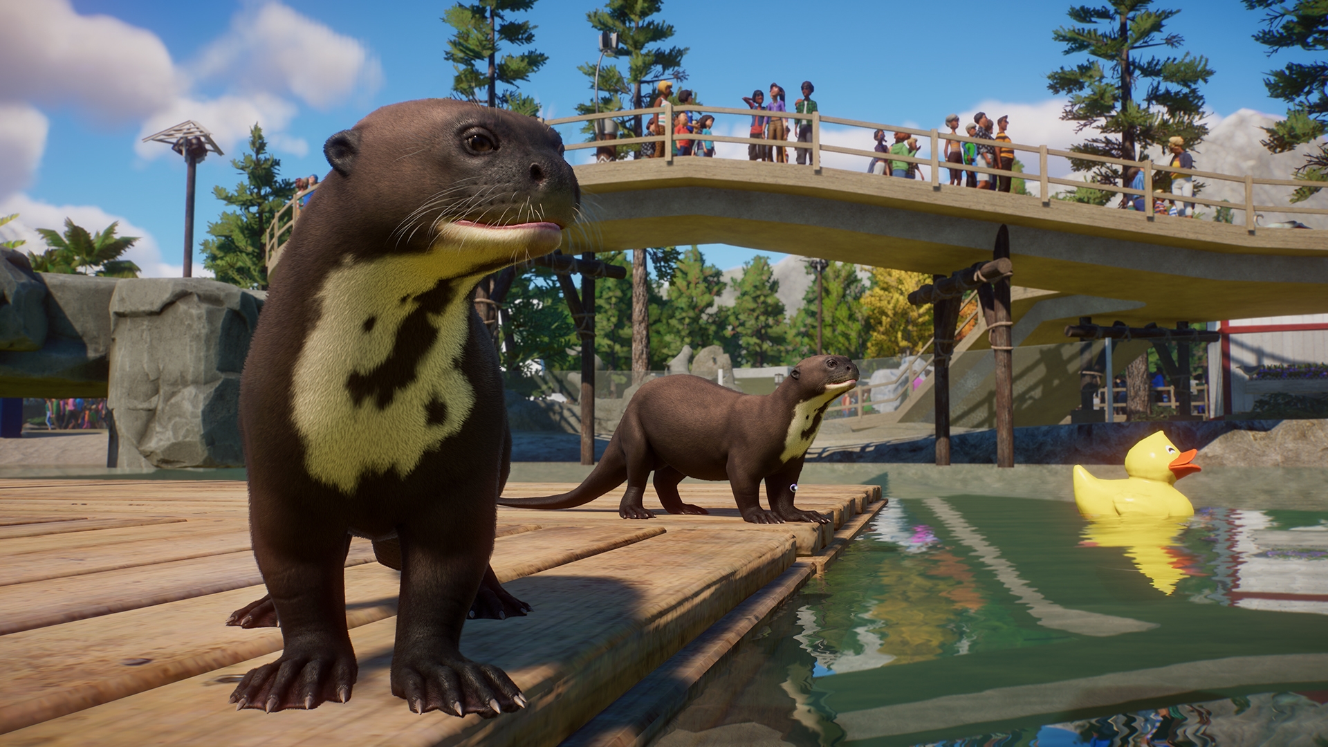 PZ_Aquatic_Paid_Screenshots_Otter_02_1920x1080.jpg