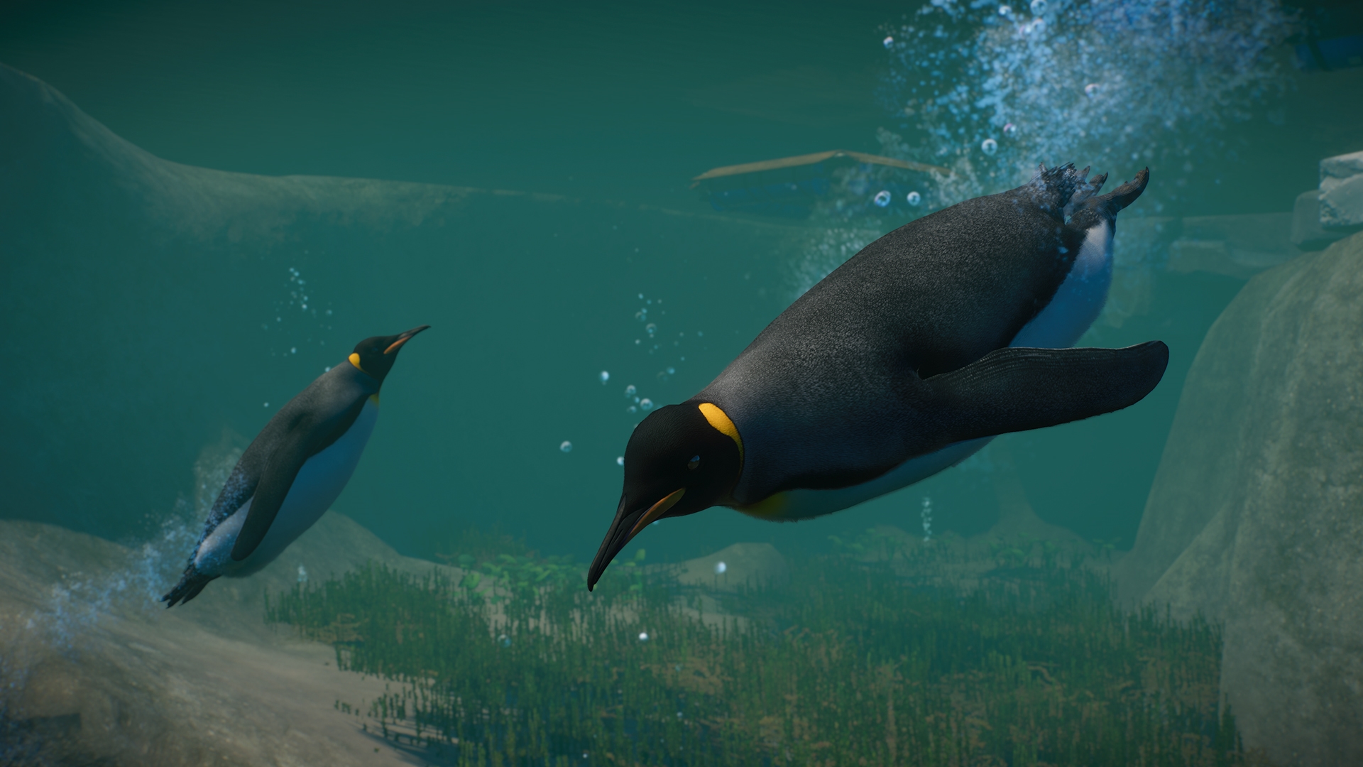PZ_Aquatic_Paid_Screenshots_Penguin_01_1920x1080.jpg