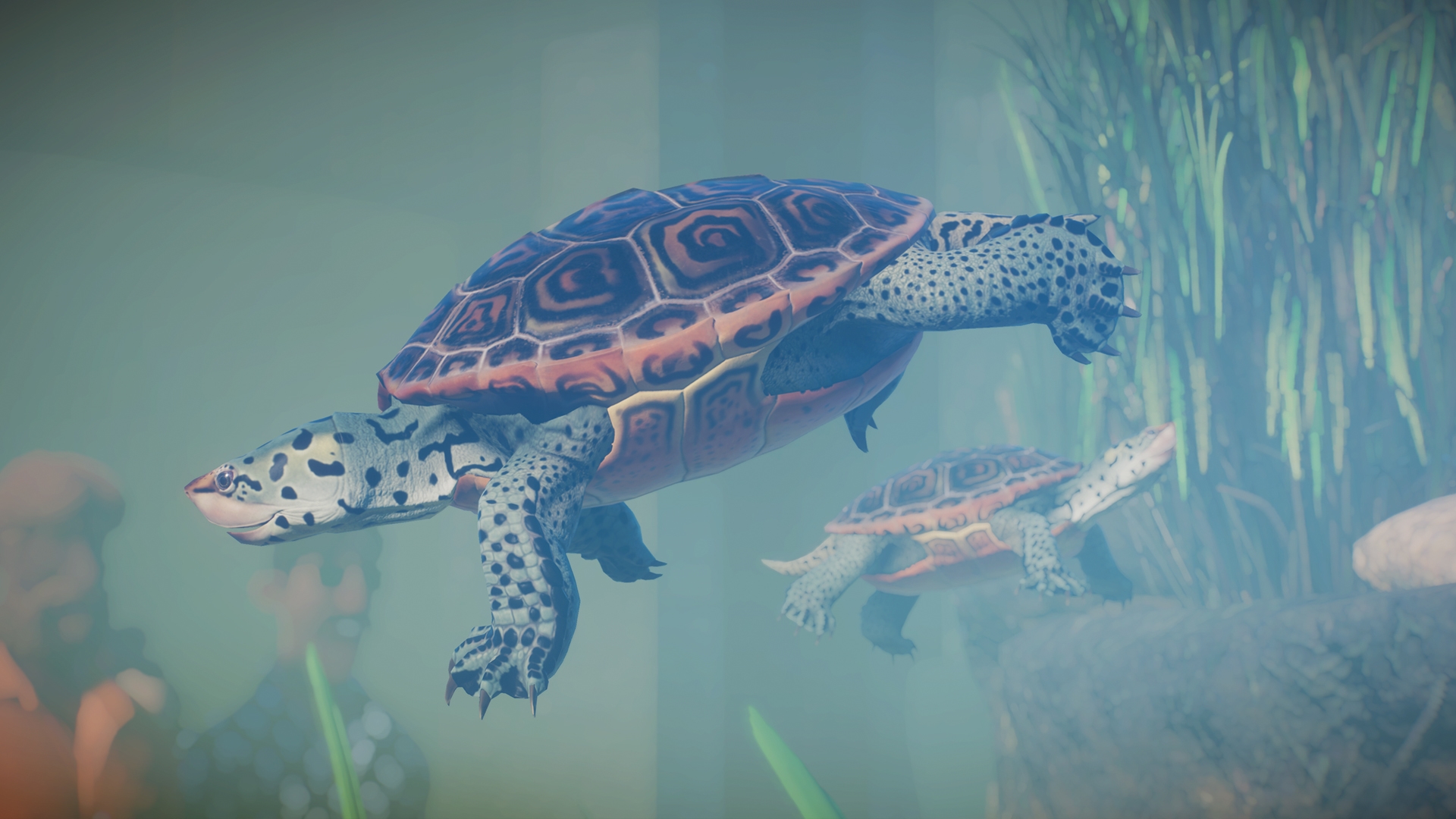 PZ_Aquatic_Paid_Screenshots_Terrapin_02_1920x1080.jpg