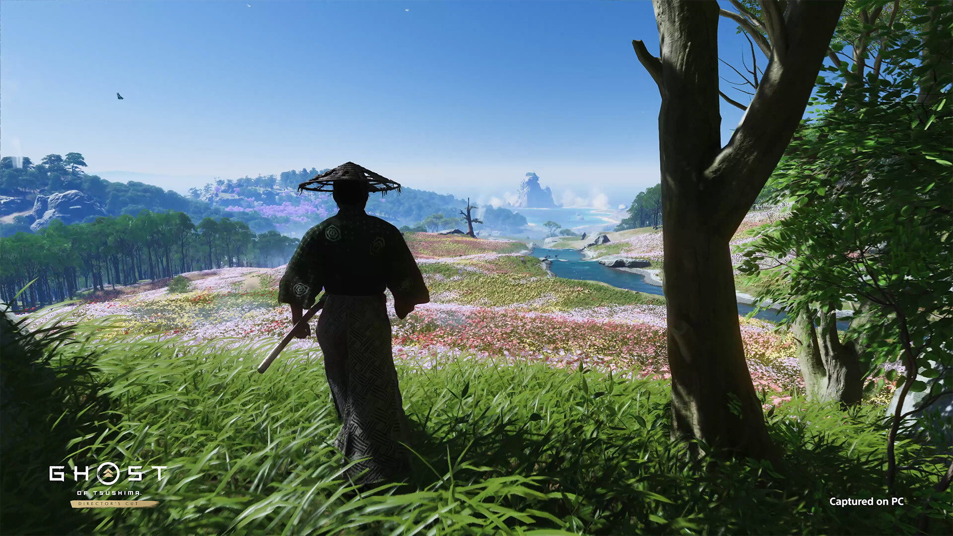 Ghost of Tsushima DIRECTOR'S CUT — screenshot 1
