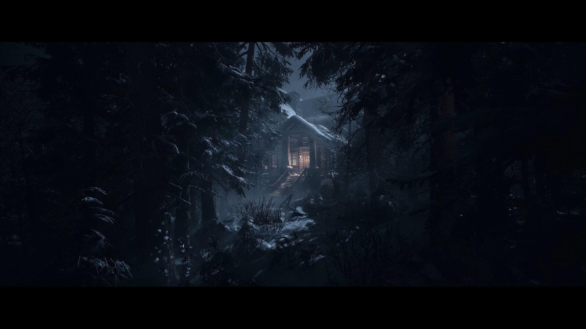 Until Dawn™