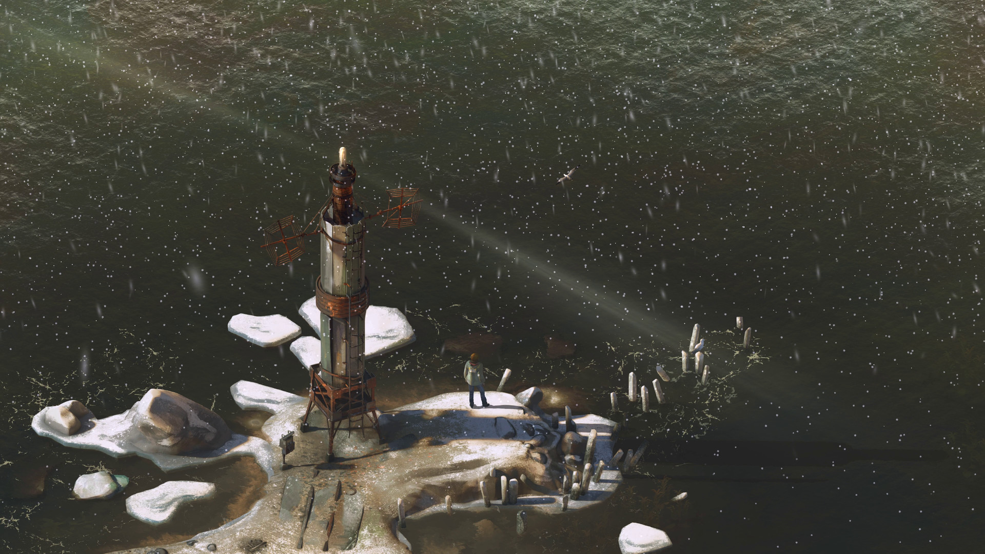11-full.jpg