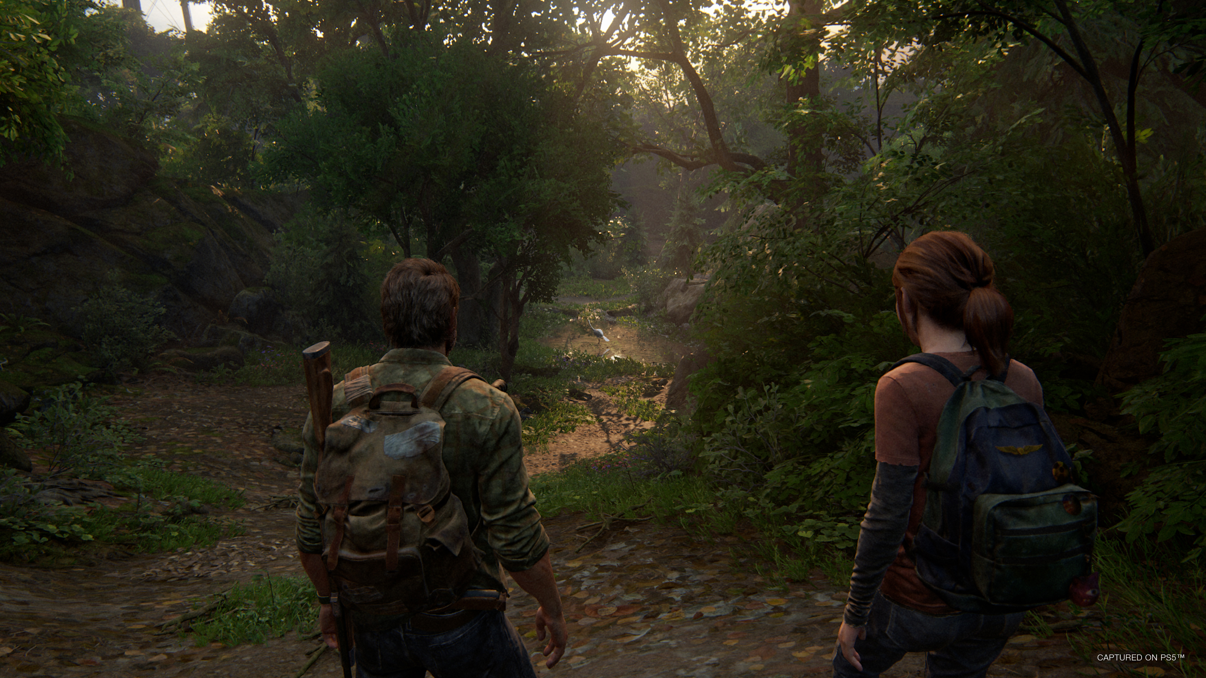s20220815_TLOUPTI_BROLL_STILLS_WM_5.png