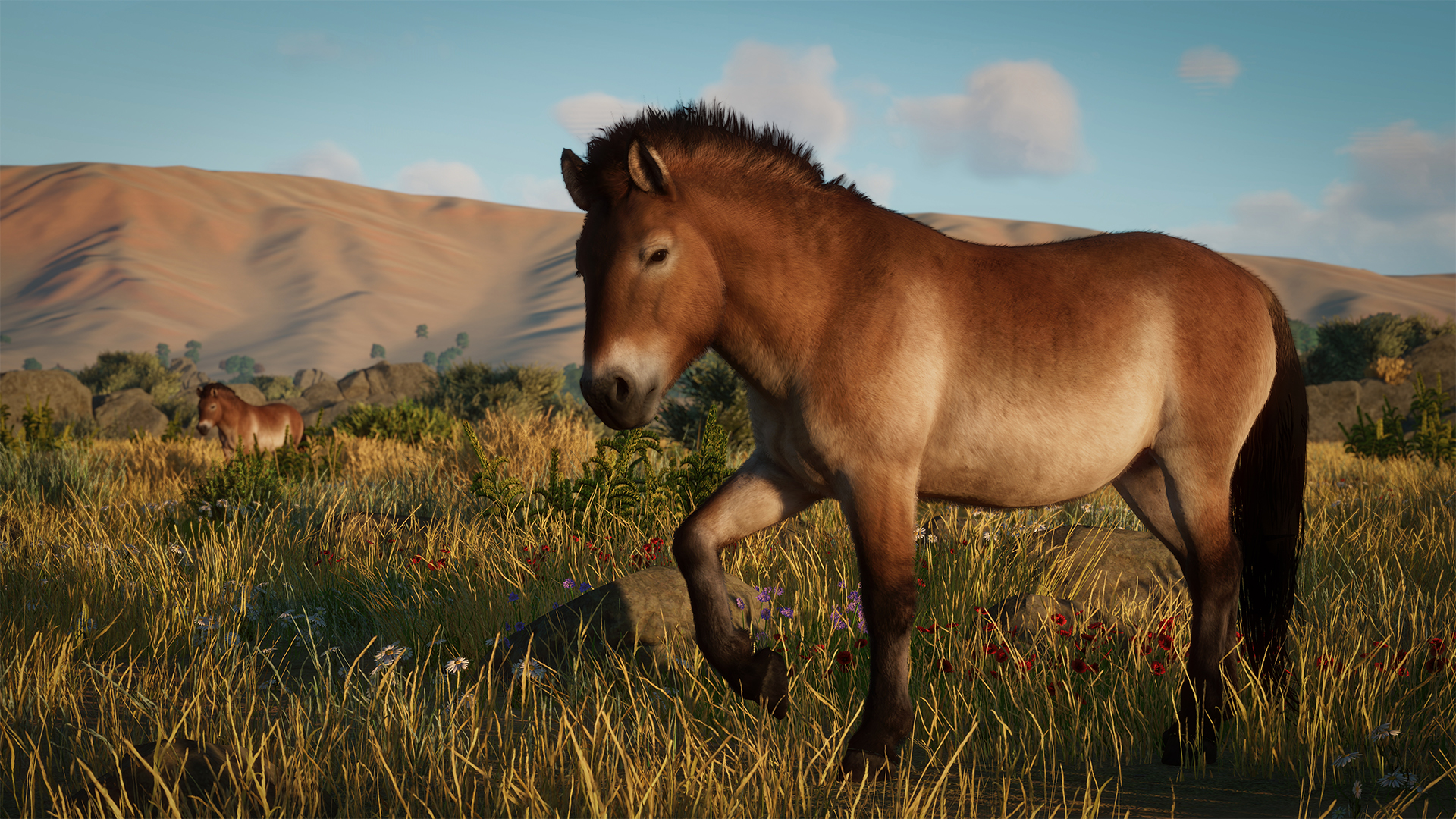 PZ_DLC10_Paid_Screenshots_Przewalski’s_Horse_Close_1920x1080.jpg