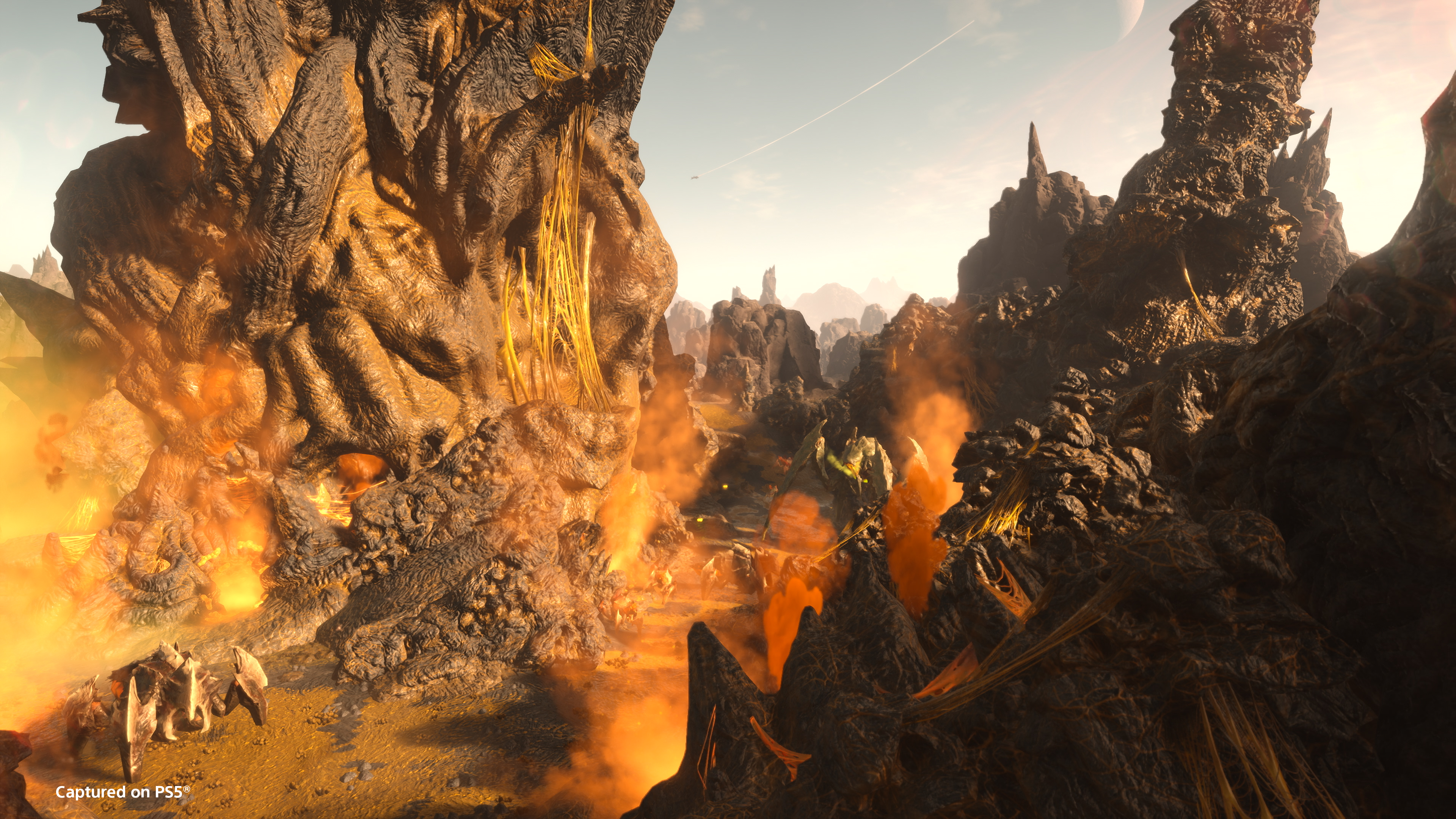 Mega_Nest_01.jpg