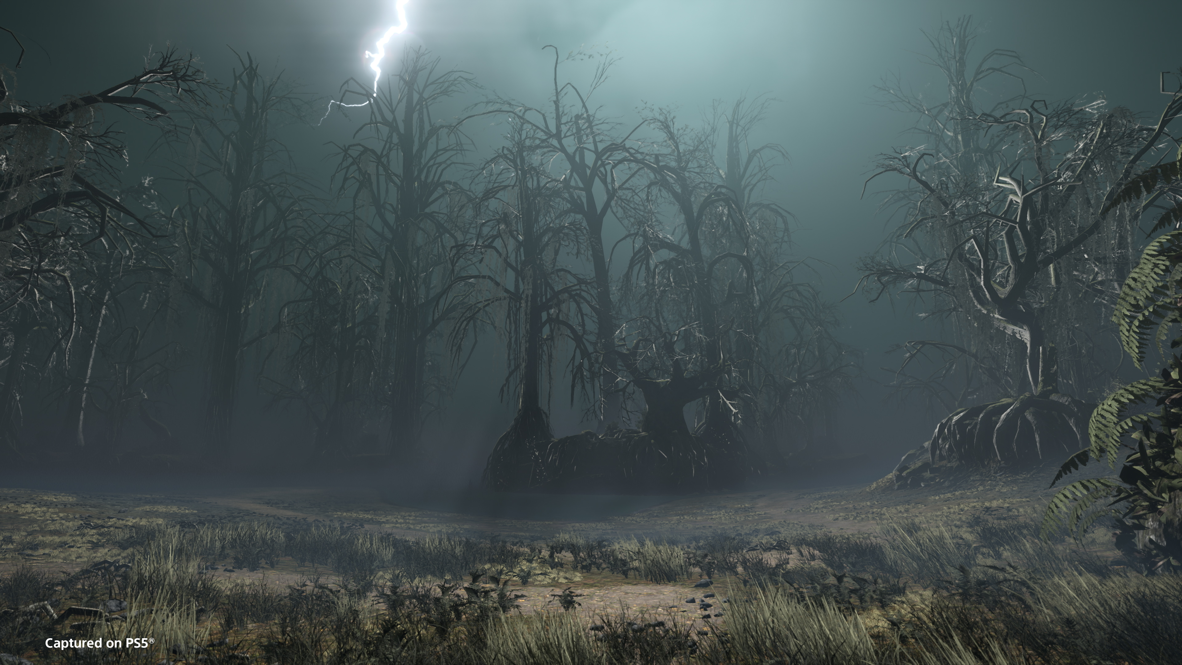 Haunter_Swamp_01.jpg