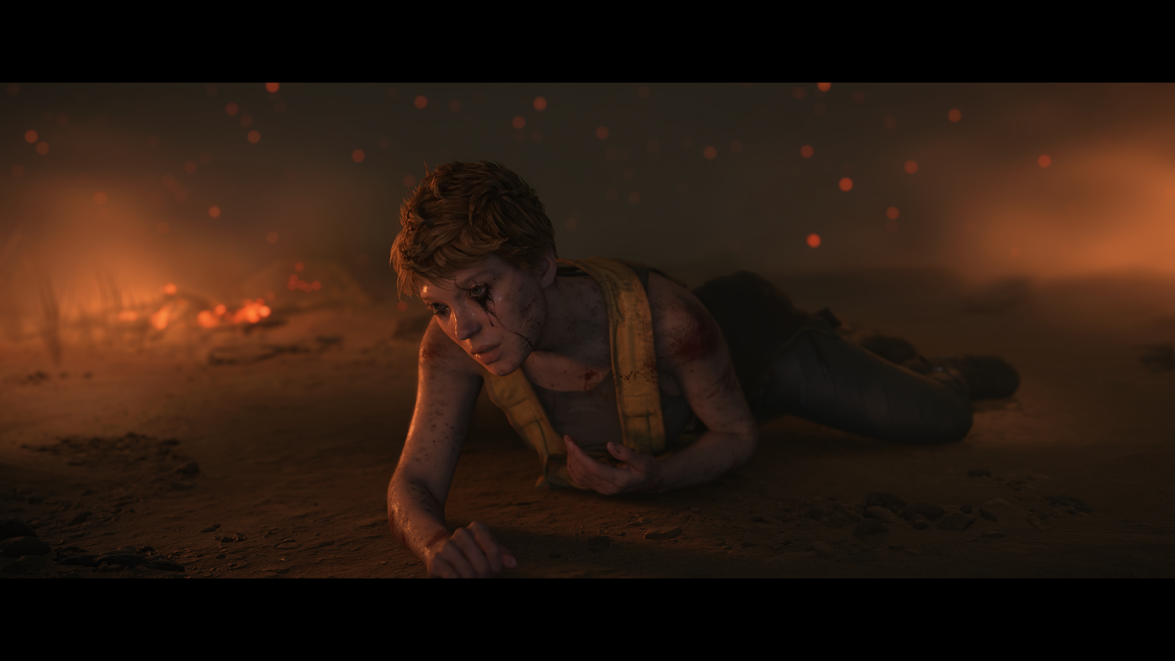 DS2PC_PreOrder_Screenshots002.png