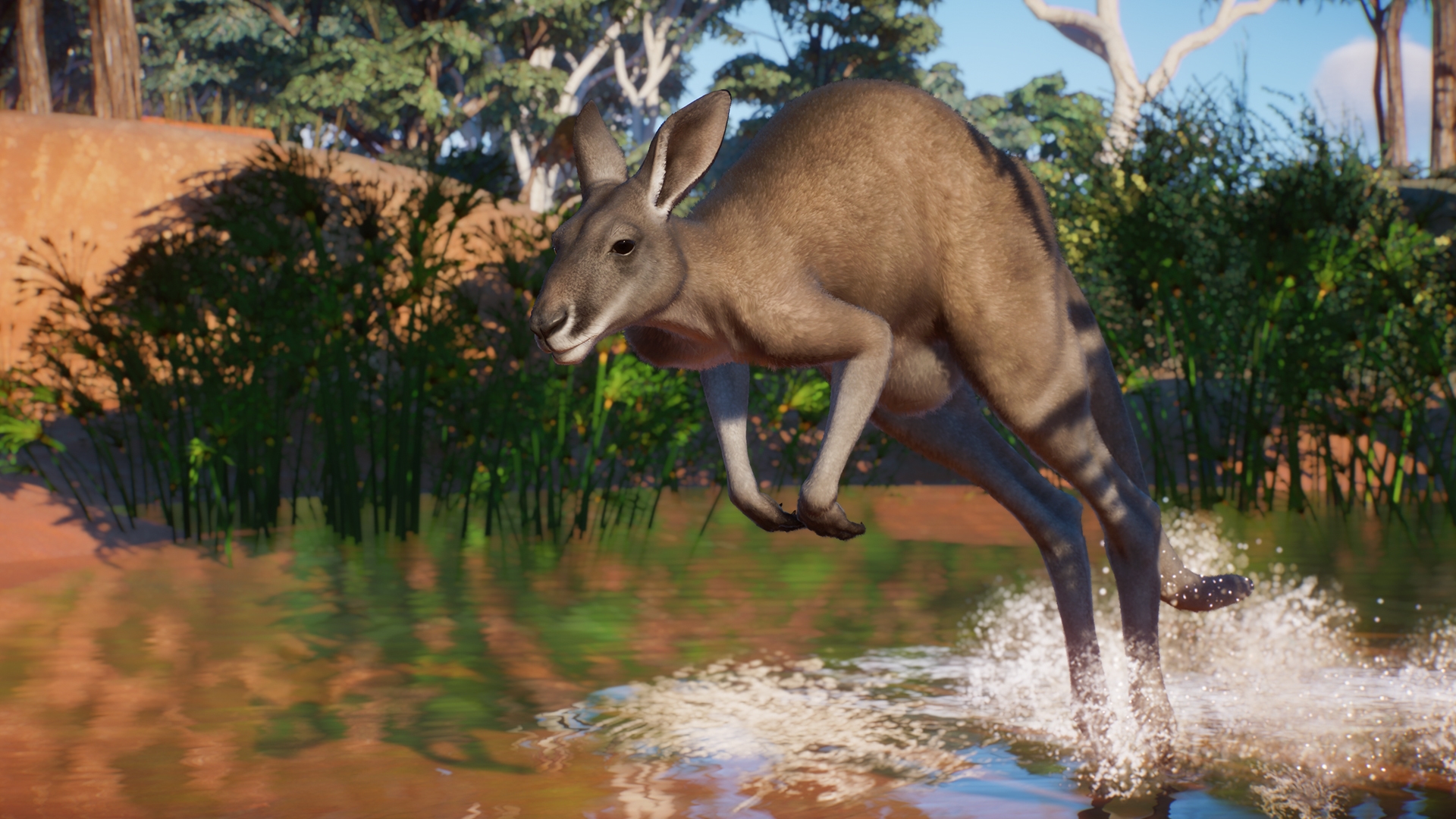 PZ_Australia_Paid_Screenshots_Kangaroo_01_1920x1080.jpg